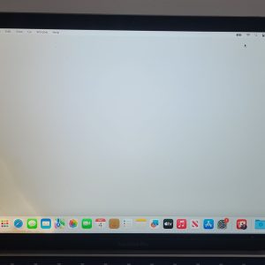 MacBook Pro A1989 A2159 A2289 A2251 Gray LCD Screen | Liquid damage